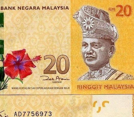 20 Malaysian Ringgit